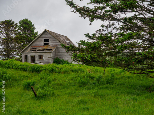 Abandoned wooden house in field photo