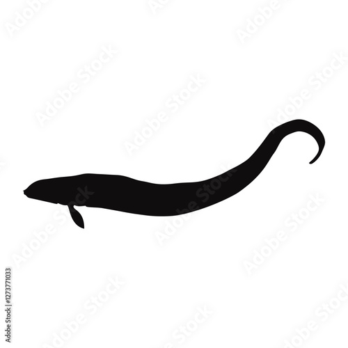 Moray eel silhouette animal black black silhouette vector