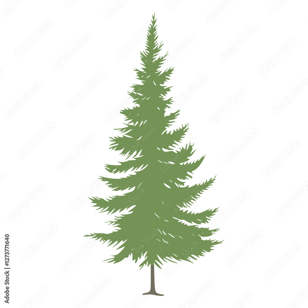 Spruce illustration tree pine vector Spruce illustration tree pine vector