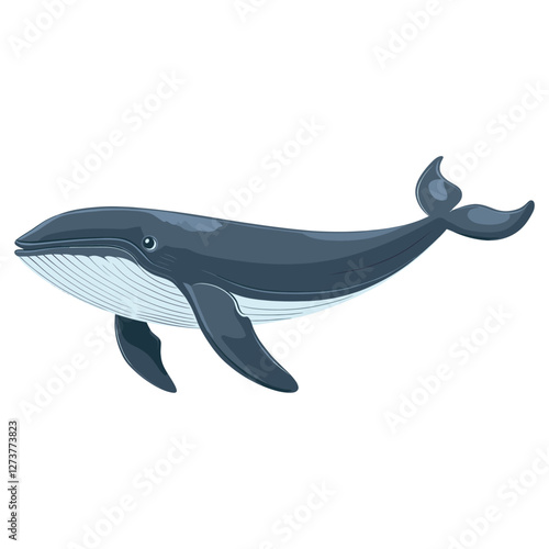 Blue whale illustration animal wildlife vector