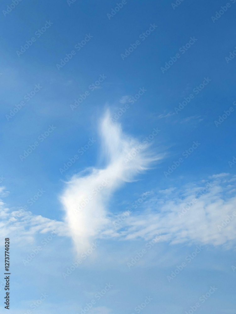 Blue sky with white fluffy clouds skyscape Blue sky with white fluffy clouds skyscape
