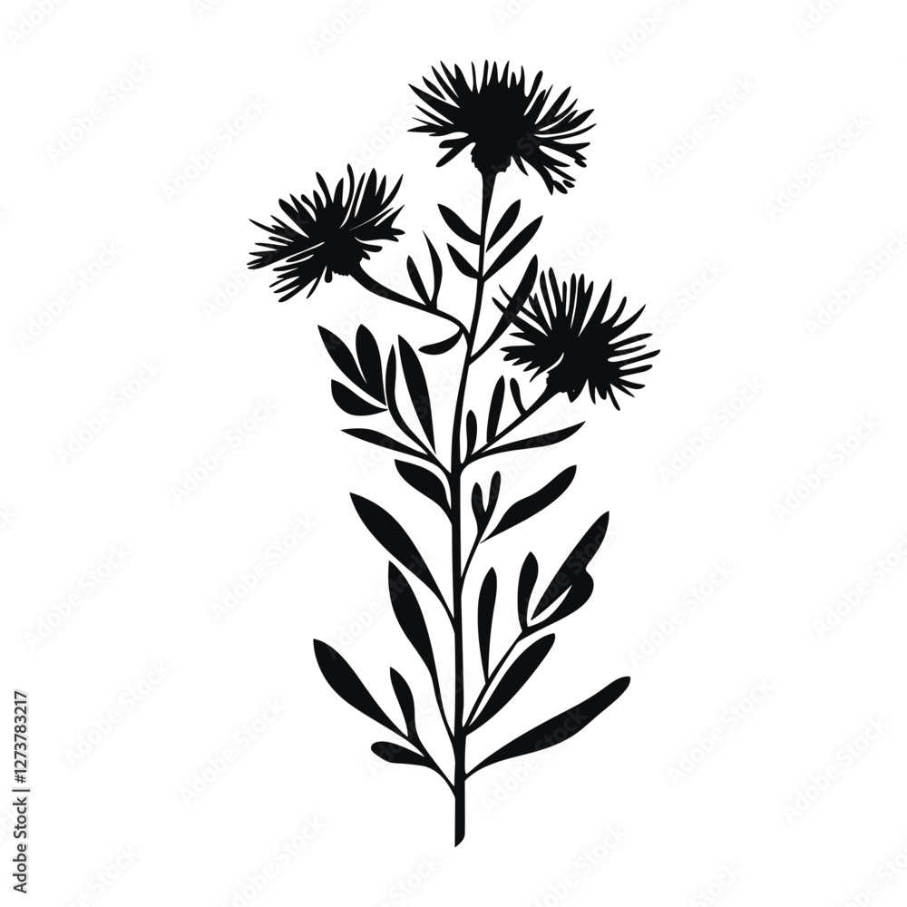 Obraz premium Aster silhouette art illustration vector