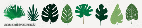 Vibrant tropical leaves collection, isolated vector set