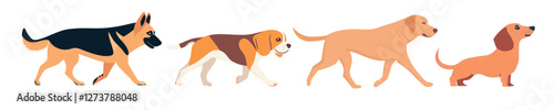 Diverse dog breeds illustration, isolated vector set