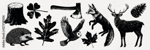 Nature-themed vintage illustrations collection, isolated vector set