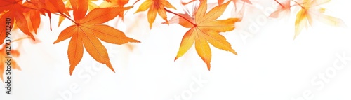 Delicate Momiji maple leaf silhouettes in bright orange over a white backdrop, seasonal and stylish natureinspired motif