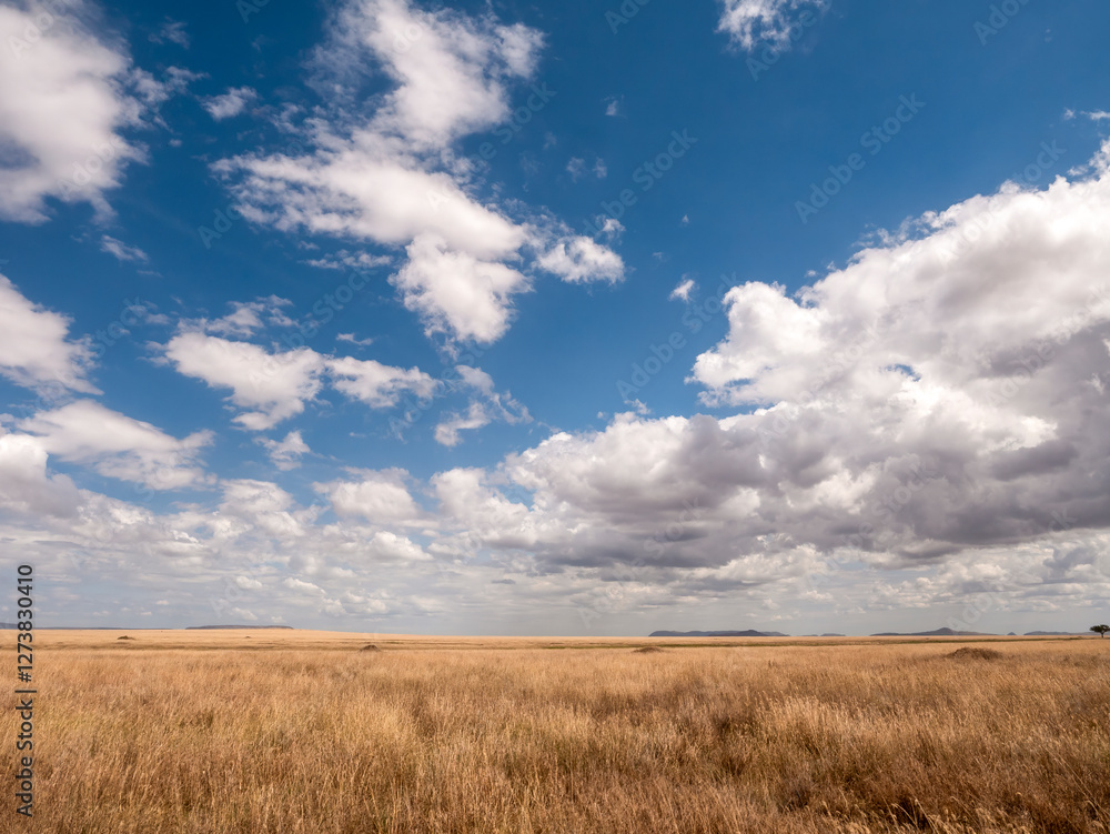 This picture shows the wonderful and vast landscape of the Serengeti. This picture shows the wonderful and vast landscape of the Serengeti.