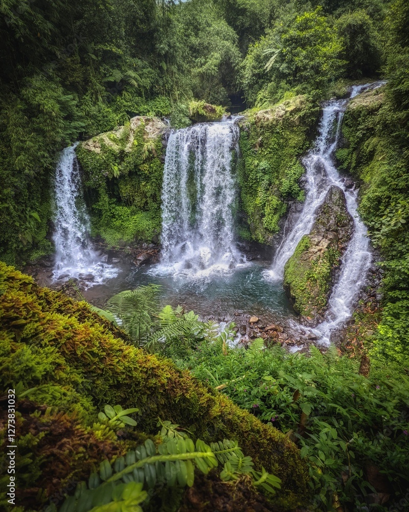 Fototapeta premium waterfall in the forest