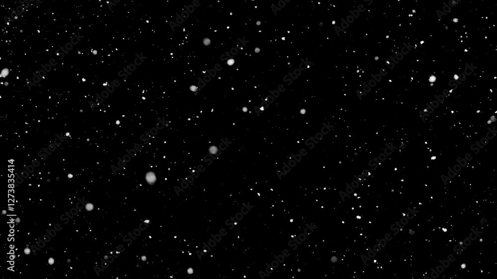 Super Slow Motion Shot of Snowfall Isolated on Black Background at 1000 fps. Super Slow Motion Shot of Snowfall Isolated on Black Background at 1000 fps.