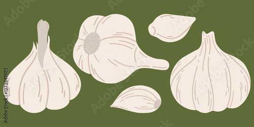 Garlic set. Vector illustration of sliced garlic, garlic clove, garlic bulb in a flat style. Healthy food. 