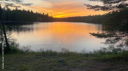Serene lake sunset reflecting golden hues in tranquil forest