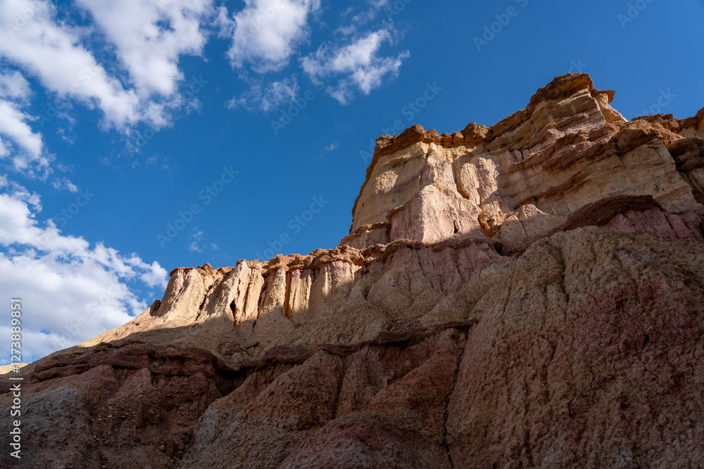 Obraz premium Golden Mongolian Steppe with Soft Light