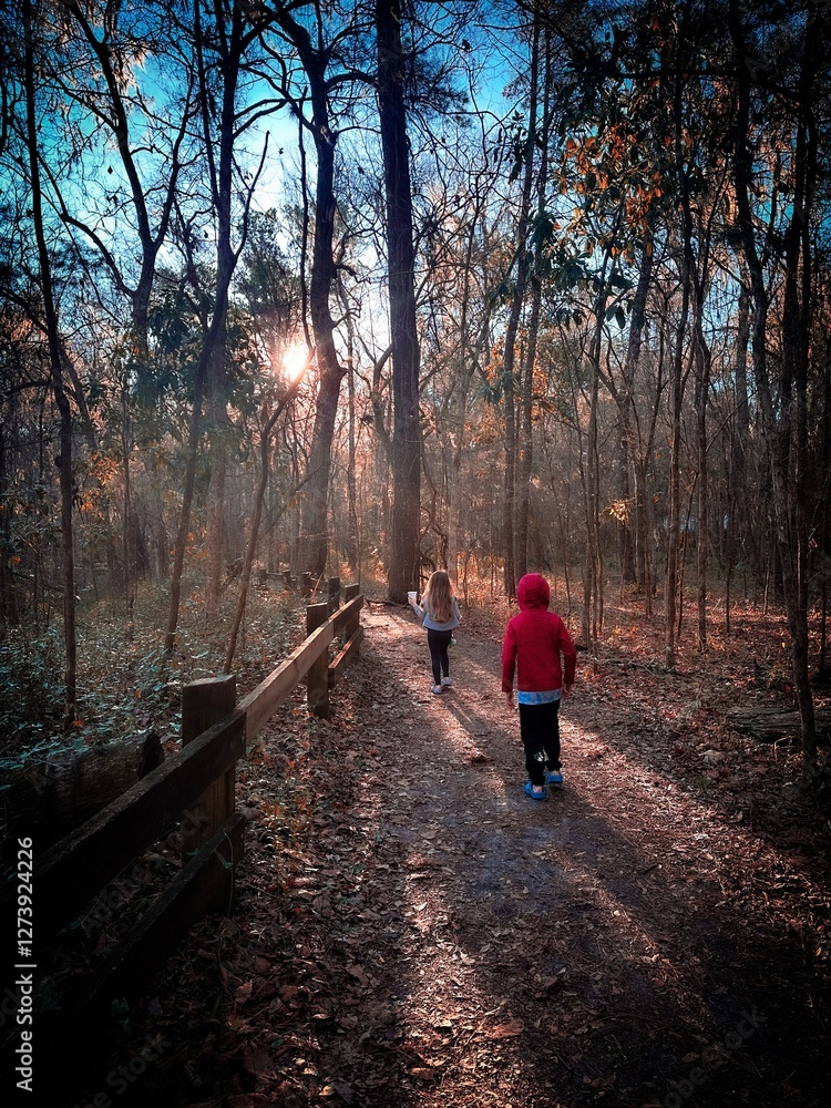walk in the park
Devils Millhopper State Park in Gainesville, FL walk in the park
Devils Millhopper State Park in Gainesville, FL