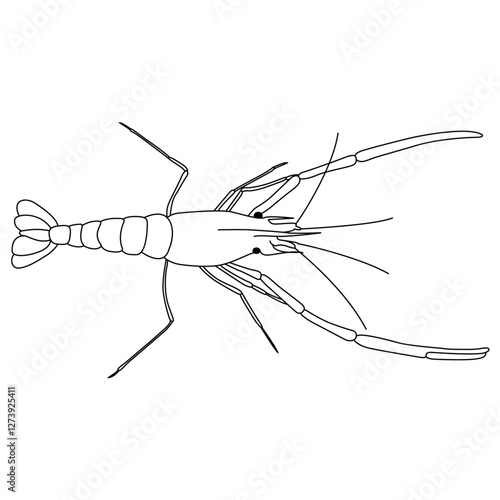 prawn line art vector design. prawn outline illustration design.
