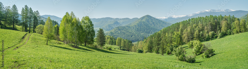 Panoramic view of a summer day in the mountains, green meadows, mountain slopes and hills, countryside Panoramic view of a summer day in the mountains, green meadows, mountain slopes and hills, countryside