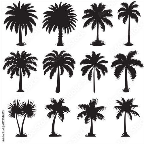 SET VECTOR VARIOUS PALAM TREE SILHOUETTES
