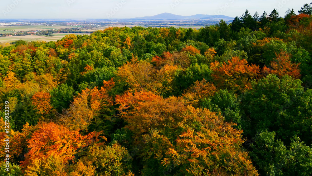 autumn landscape view from above hill forest autumn landscape view from above hill forest