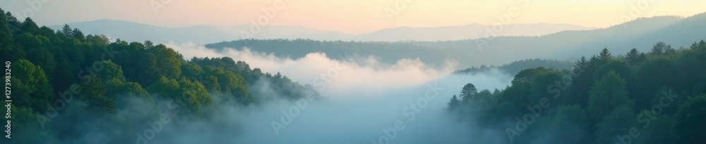 Fototapeta premium Gentle morning fog rolling in over a still forest, calm, natural world
