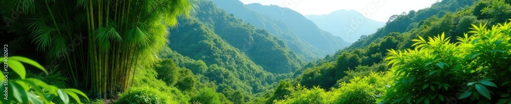 Fototapeta premium Hillside covered in bamboo and other tropical plants, tropical, nature