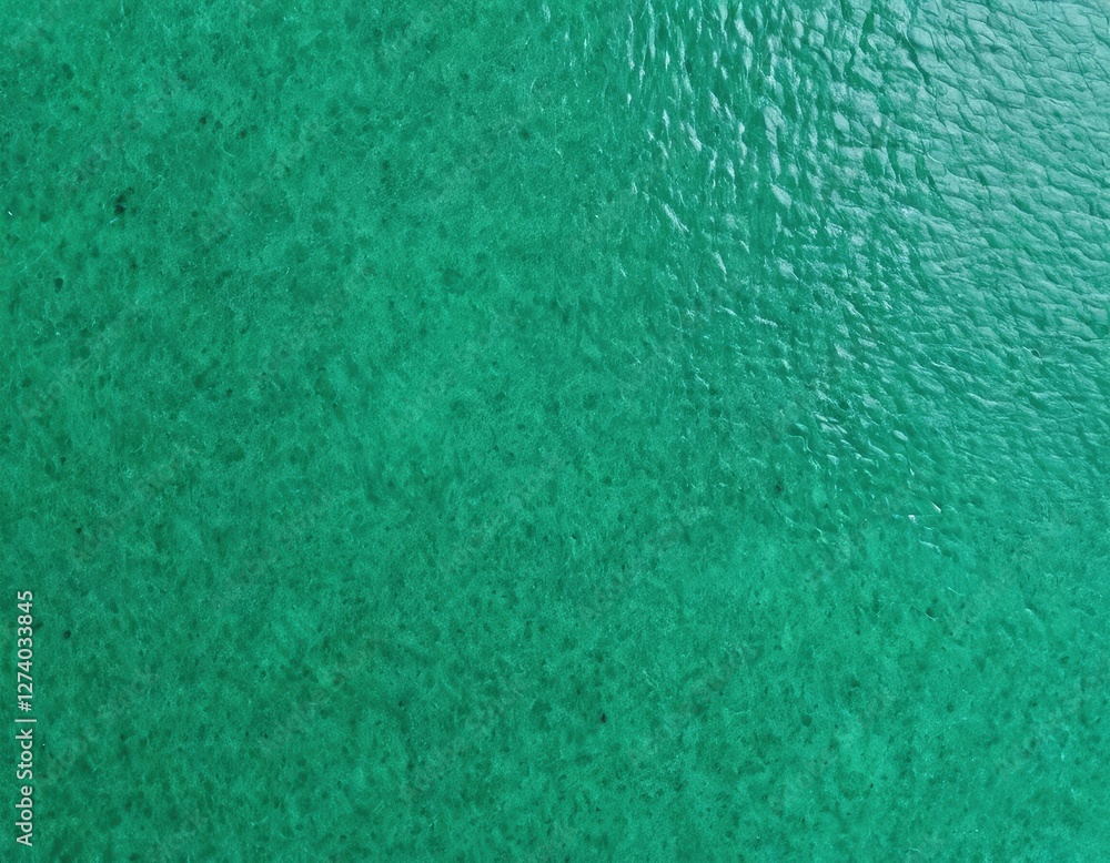 Emerald Green Texture: An elegant and vivid emerald green texture with subtle variations, offering a rich visual experience, perfect for backgrounds and design elements. Emerald Green Texture: An elegant and vivid emerald green texture with subtle variations, offering a rich visual experience, perfect for backgrounds and design elements.