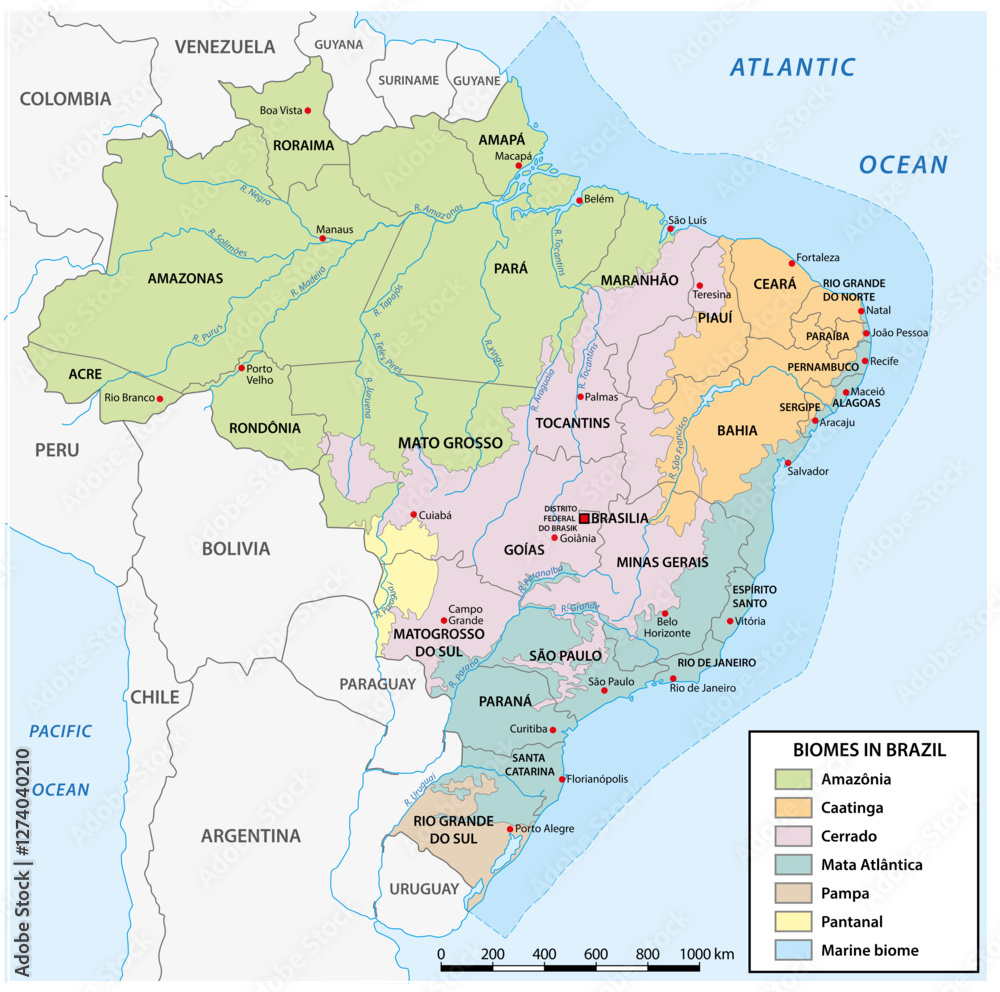 Map of the distribution of biomes in Brazil.