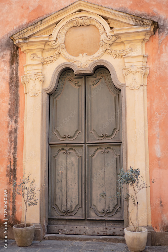 Ancient wooden door in old building wall. Facade of an old building with big wooden arch door and Plants decorations. Front view Ancient wooden door in old building wall. Facade of an old building with big wooden arch door and Plants decorations. Front view