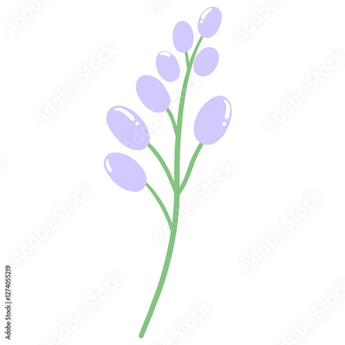 Purple flower 
