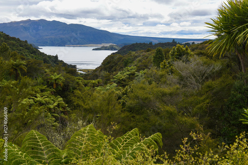 View at Waimangu Volcanic Valley national park in New Zealand photo