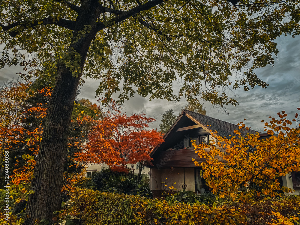 house in autumn forest