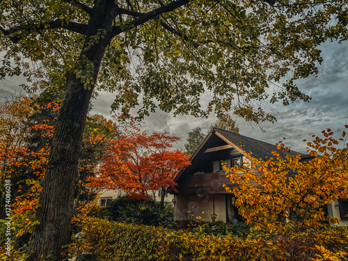 Obraz na płótnie house in autumn forest w salonie