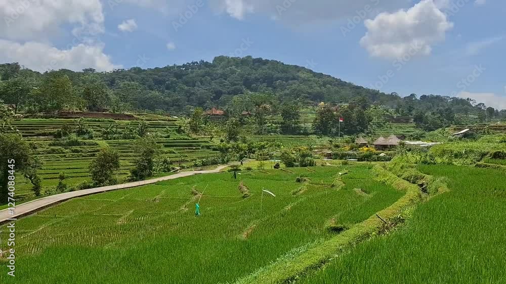 view of Mount Penanggungan in the morning with a bright blue sky and surrounded by fertile rice fields view of Mount Penanggungan in the morning with a bright blue sky and surrounded by fertile rice fields