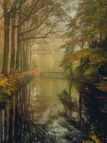 Obraz na płótnie Autumn landscape of the forest with a bridge over the river w salonie