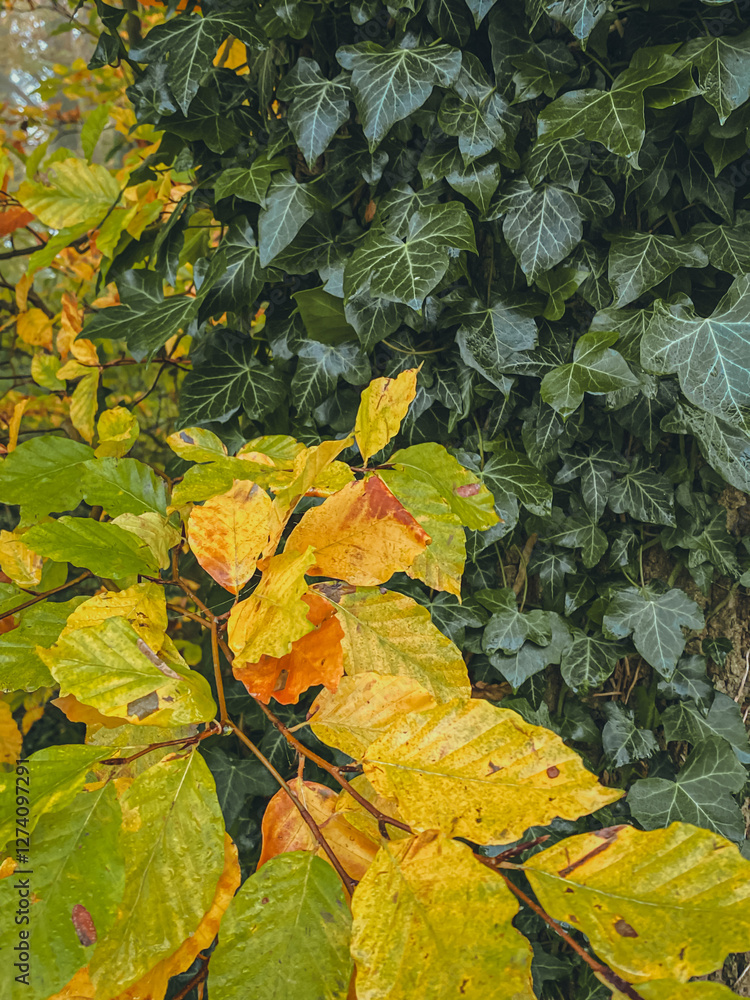 Background of yellow and green leaves, geometry
