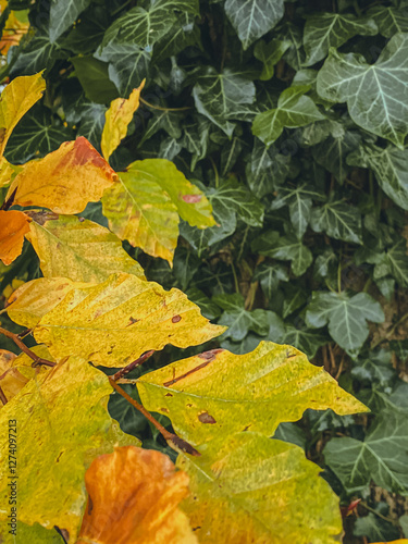 Obraz na płótnie Background of yellow and green leaves, geometry w salonie