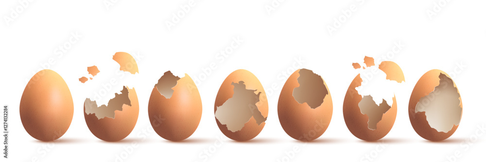 Set of egg and eggshell broken on white background Set of egg and eggshell broken on white background