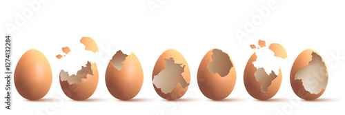 Set of egg and eggshell broken on white background	