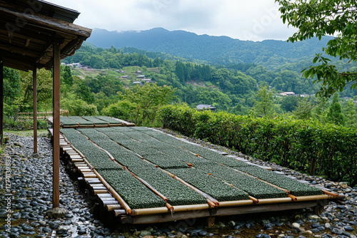 Tea Fermentation