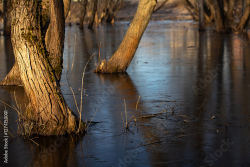 Wallpaper Mural Trees on a frozen lake in early spring Torontodigital.ca