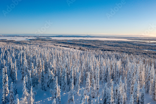 Obraz na płótnie winter landscape with snow w salonie