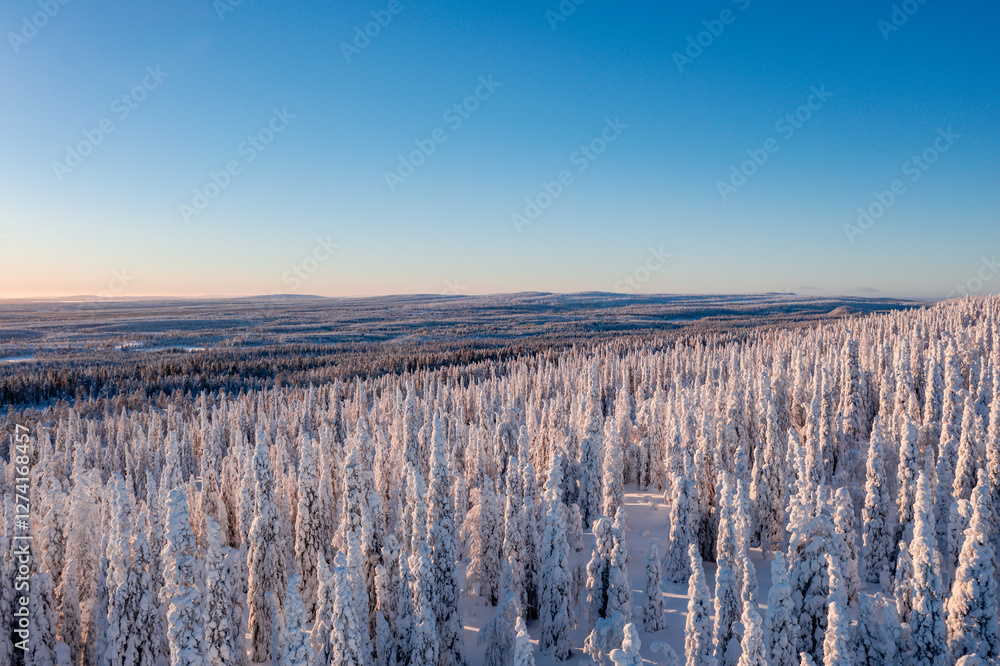 winter landscape in the morning winter landscape in the morning