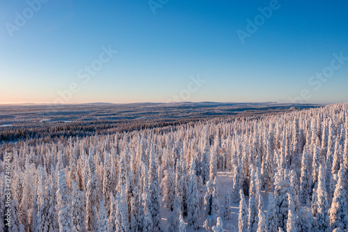 winter landscape in the morning