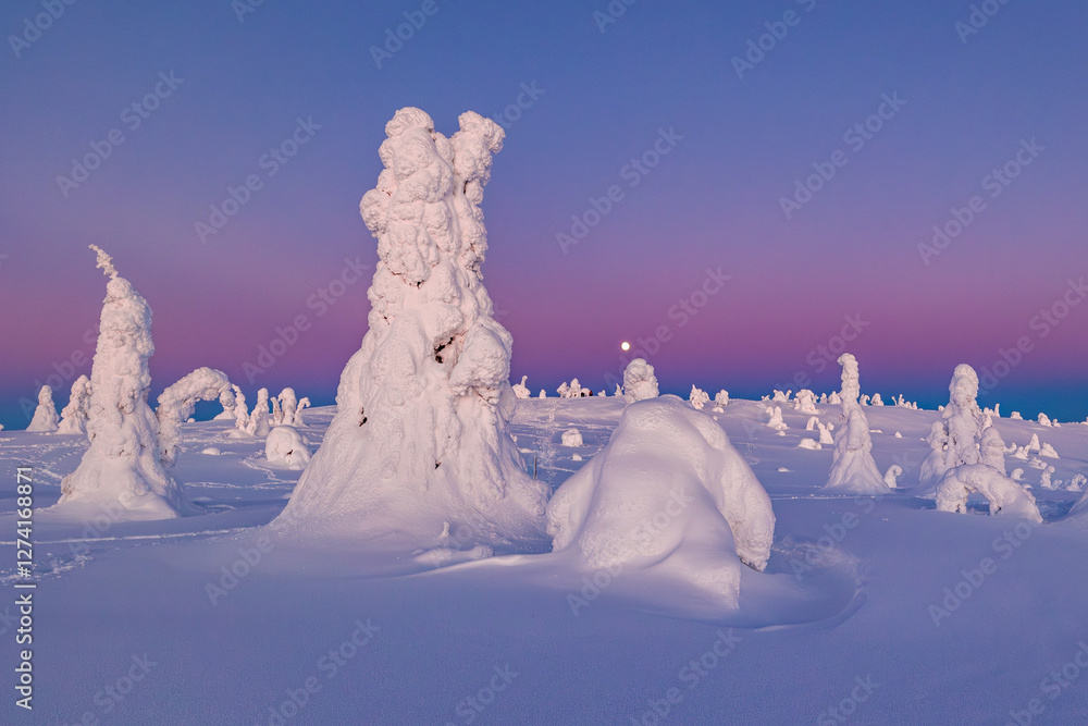 snow covered trees