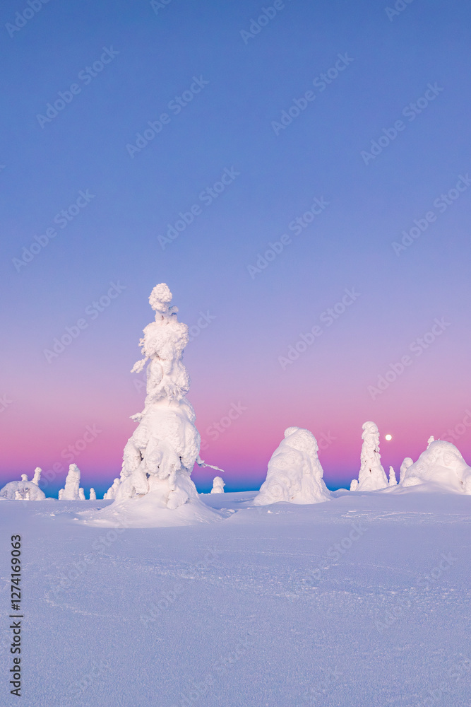 winter landscape with snow
