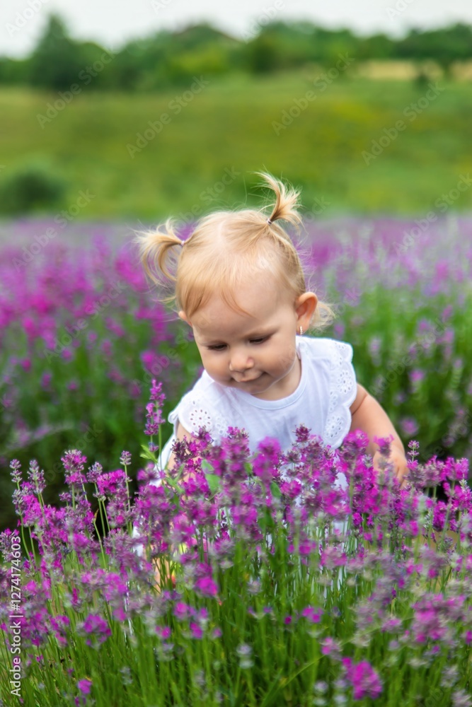 Little girl in a lavender field and touching the flowers with her hand. Little girl in a lavender field and touching the flowers with her hand.