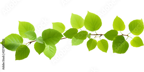 green leaves on a branch, isolated on a transparent background. Generative ai