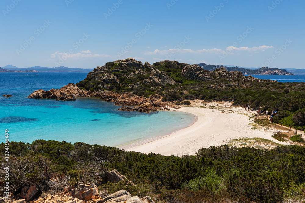 Obraz premium spiaggia Rosa a Budelli, arcipelago della Maddalena, Sardegna