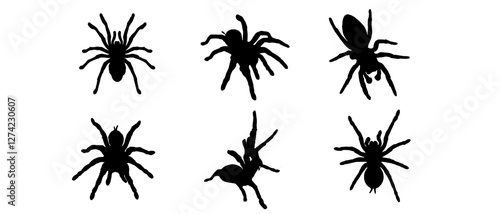 Set of Tarantula silhouette