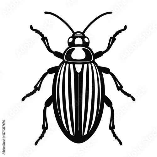 cucumber beetle vector illustration