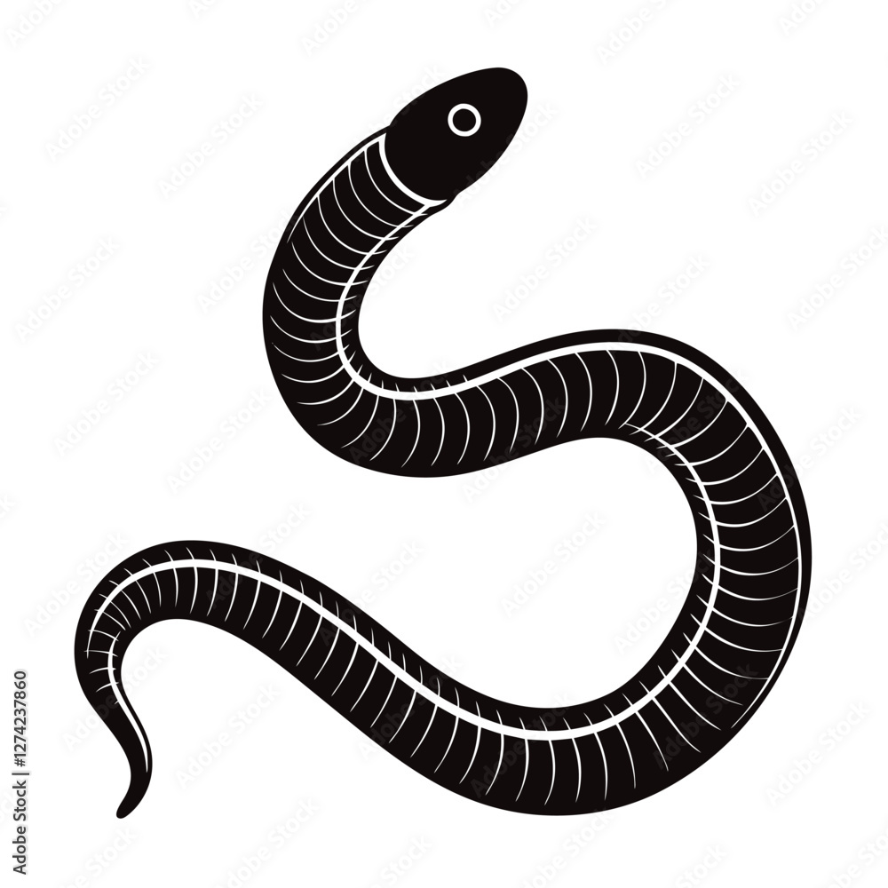 Fototapeta premium earthworm vector illustration