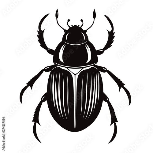 dung beetle vector illustration